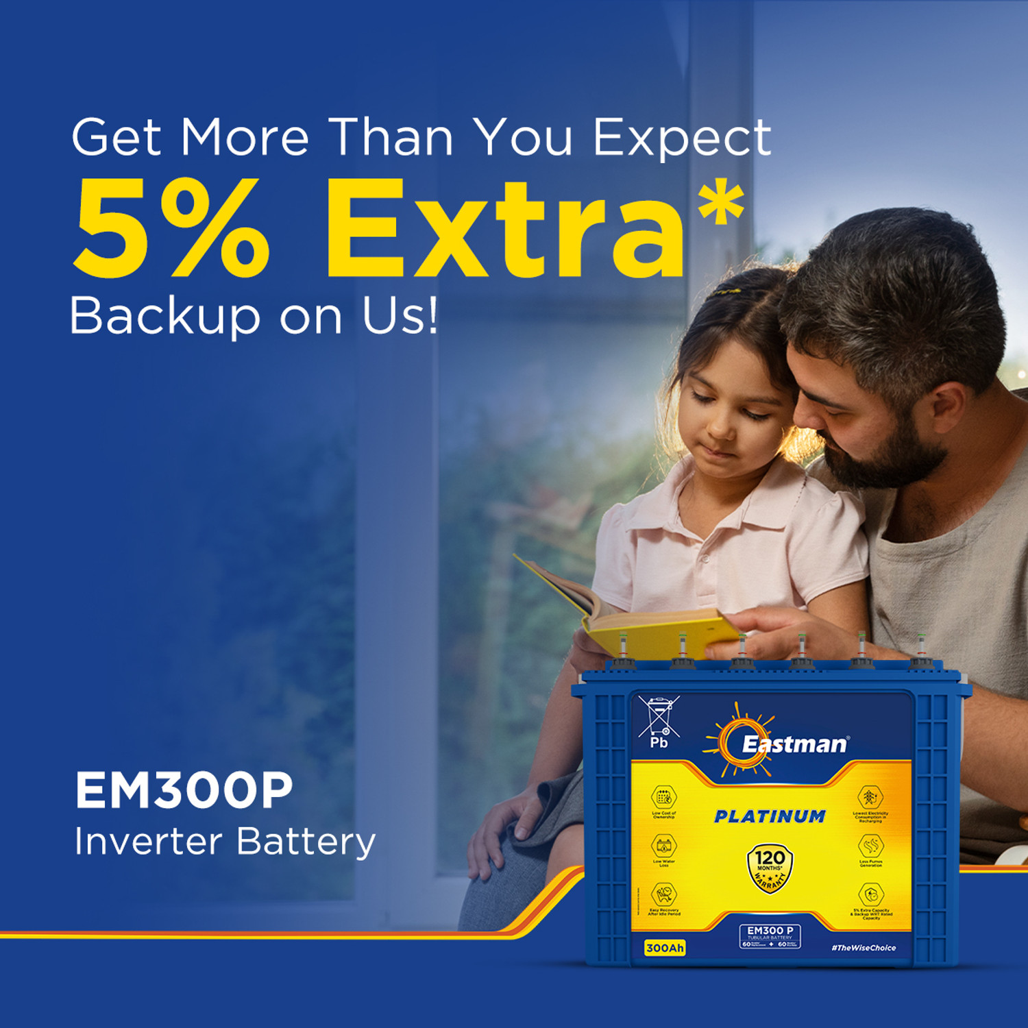 Image of EASTMAN 120 Months Warranty Tubular Inverter Battery (300 Ah, EM300P)