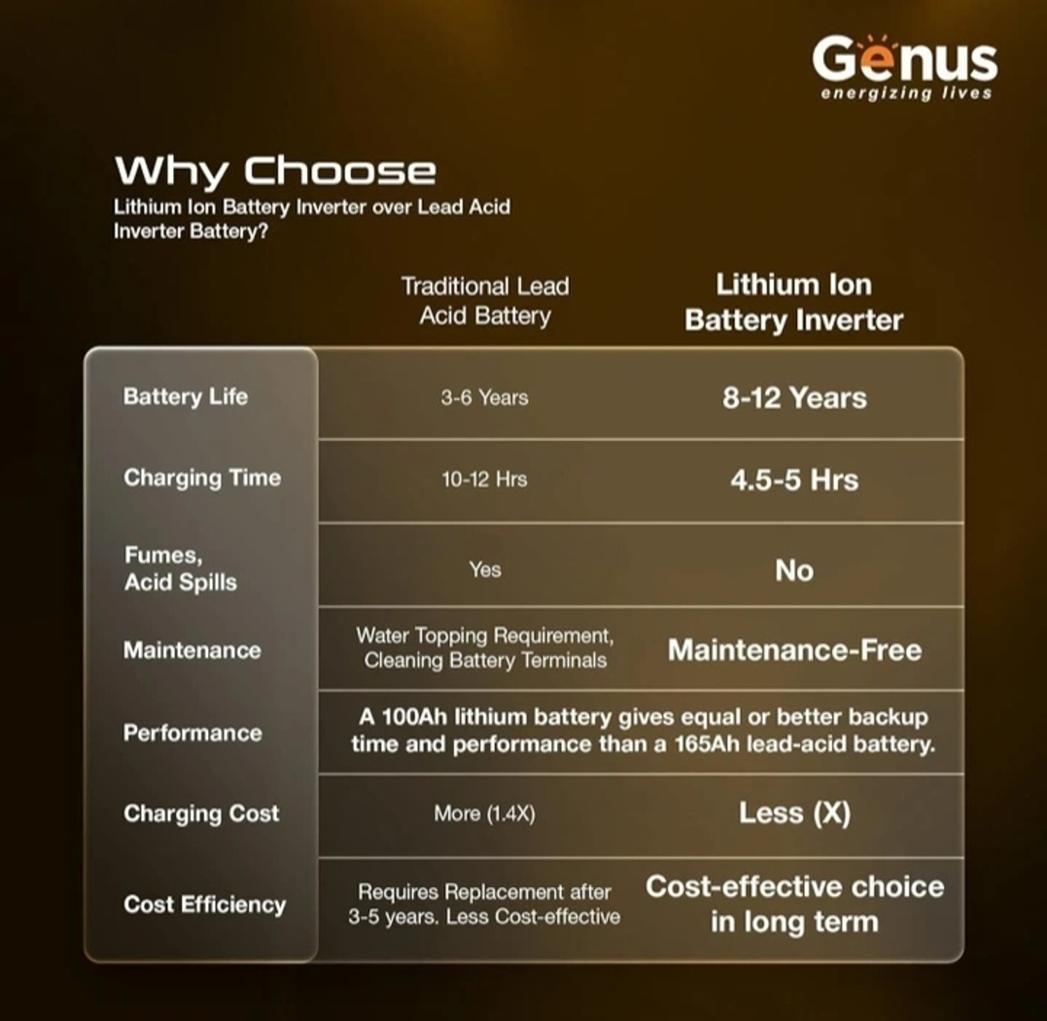 Image of Genus 2400 VA Maxilion 2400 with 60 Months Warranty Pure Sine Wave Inverter 003 with 5 Year Warranty Square Wave Inverter (2400 VA)