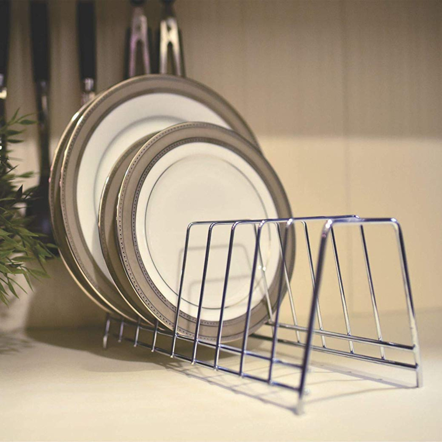 Image of SHELFINDIA 12 Plate Stand for Kitchen | Stainless Steel Dish Drying Rack | PACK OF 1 Dinner Plate