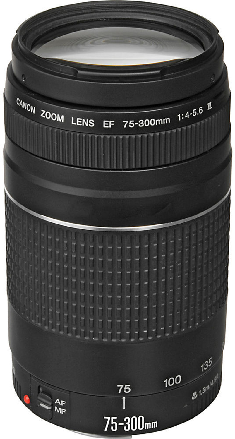 Image of Tamron SP AF 200 - 500 mm F /5-6.3 Di LD (IF) Telephoto Zoom Lens (Black)