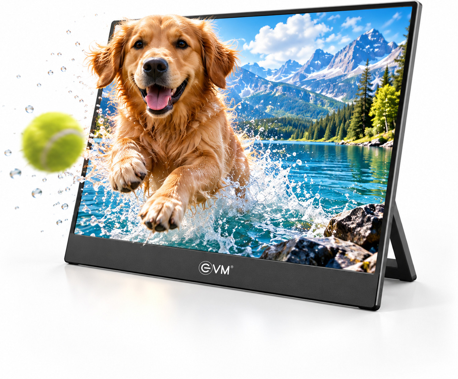 EVM 16" FHD Monitor