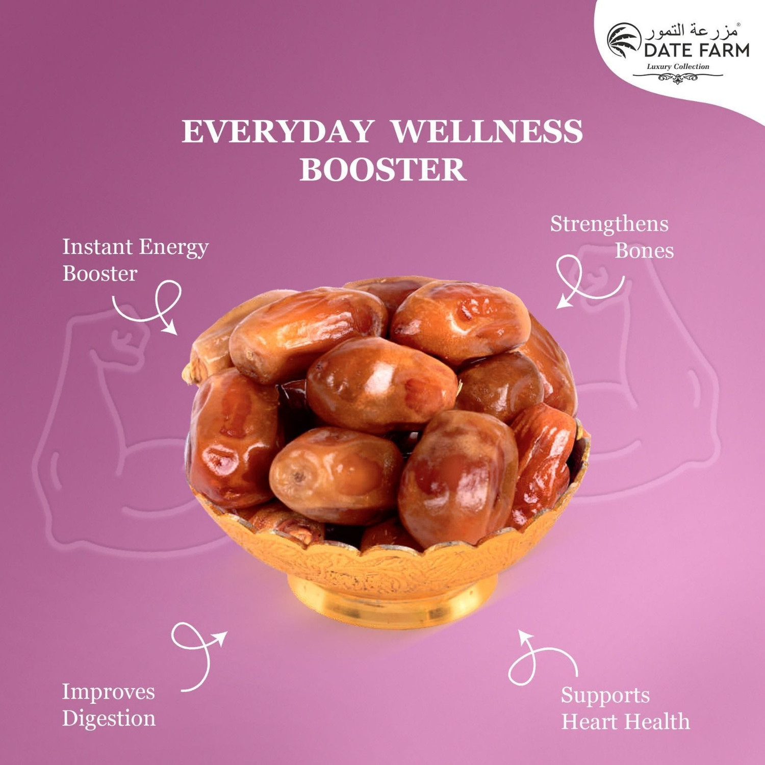 Image of Date Farm Palm Royale Dates, 100% Natural khajur, No Added Sugar, Rich in Fibre - Dry Dates (3 x 500 g)