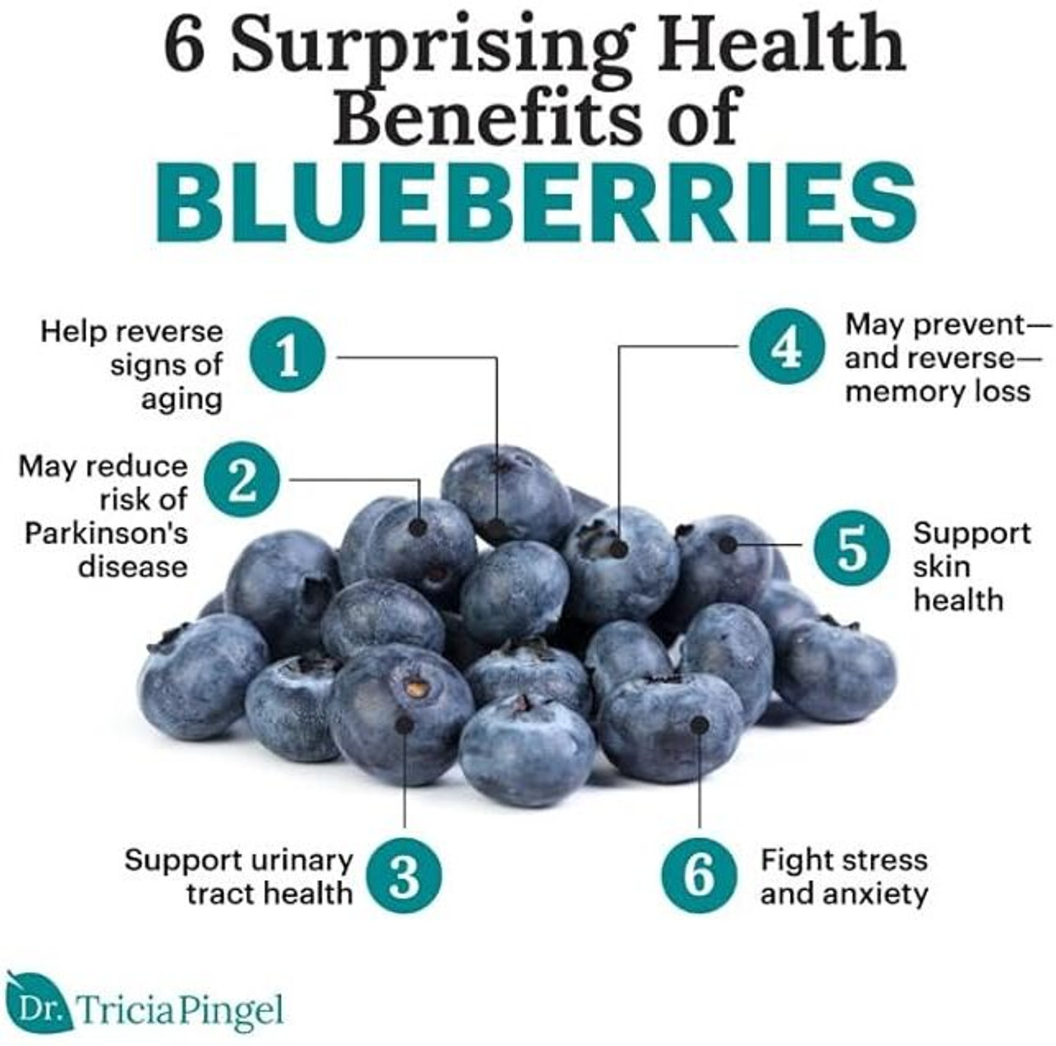 Image of VEXA NATURALS Dried Blueberries | No Added Sugar | Vitamin & Fiber Rich Blueberry (1 x 250 g)