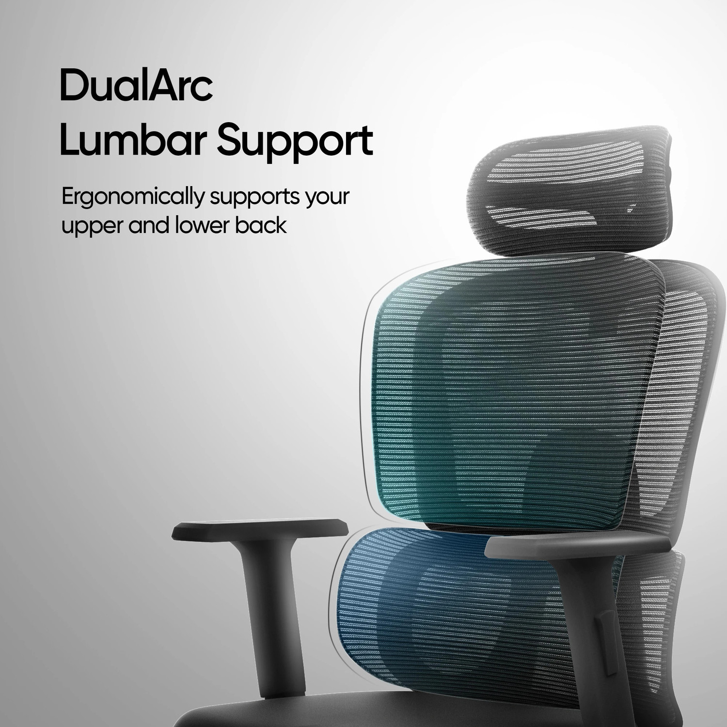 Image of Frido AeroMesh Ergo Chair, Adjustable Armrests & Headrest, 120kg Capacity Mesh Office Adjustable Arm Chair (Black, Knock Down)