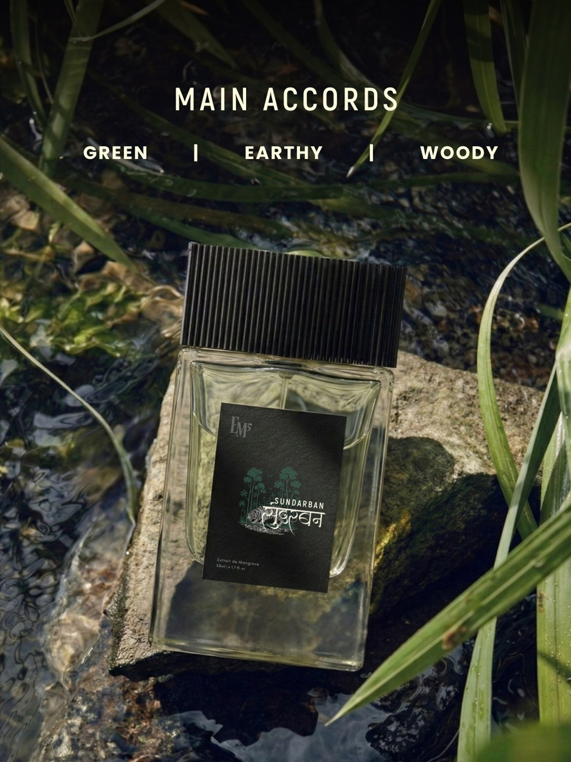Image of Em5 Sundarban Extrait d'Mangroves Perfume | Green, Earthy & Woody Fragrance | Perfume - 50 ml (For Men)
