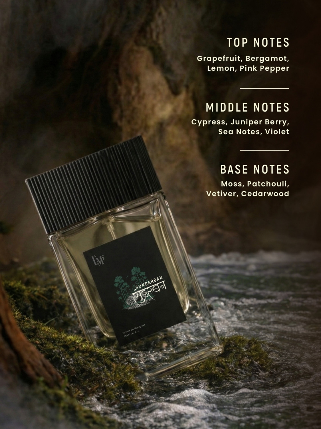 Image of Em5 Sundarban Extrait d'Mangroves Perfume | Green, Earthy & Woody Fragrance | Perfume - 50 ml (For Men)