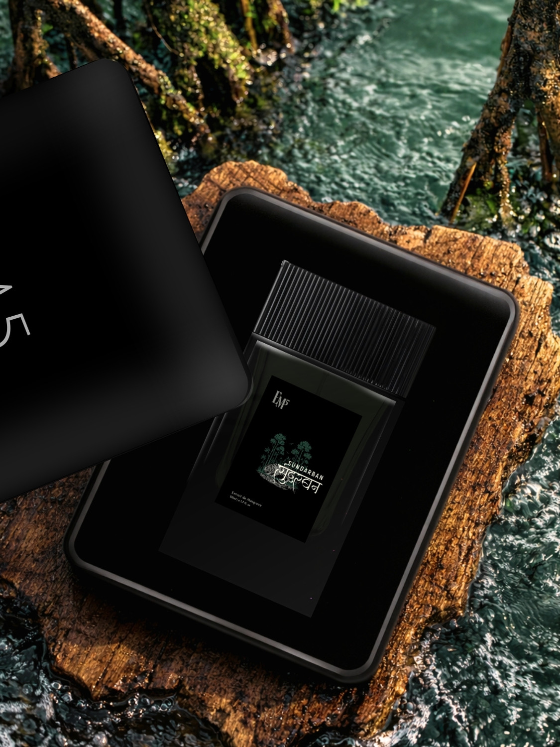 Image of Em5 Sundarban Extrait d'Mangroves Perfume | Green, Earthy & Woody Fragrance | Perfume - 50 ml (For Men)