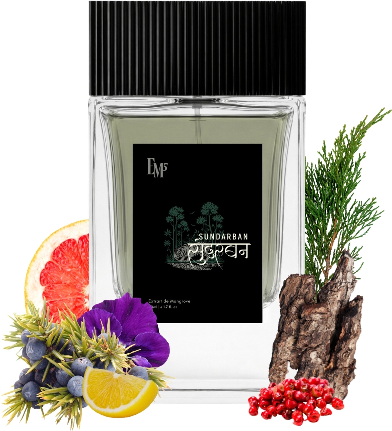 Image of Em5 Sundarban Extrait d'Mangroves Perfume | Green, Earthy & Woody Fragrance | Perfume - 50 ml (For Men)