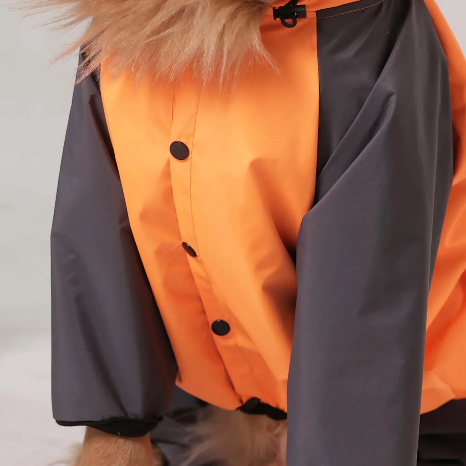 Image of furryfits Raincoat for Dog (Grey, Orange)