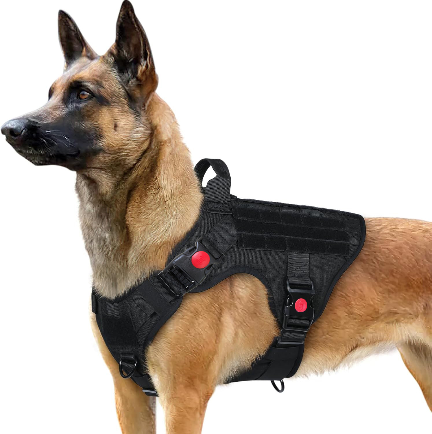 Image of Cocker Tactical Harness For Dogs Dog Safety Harness (Medium, Black)