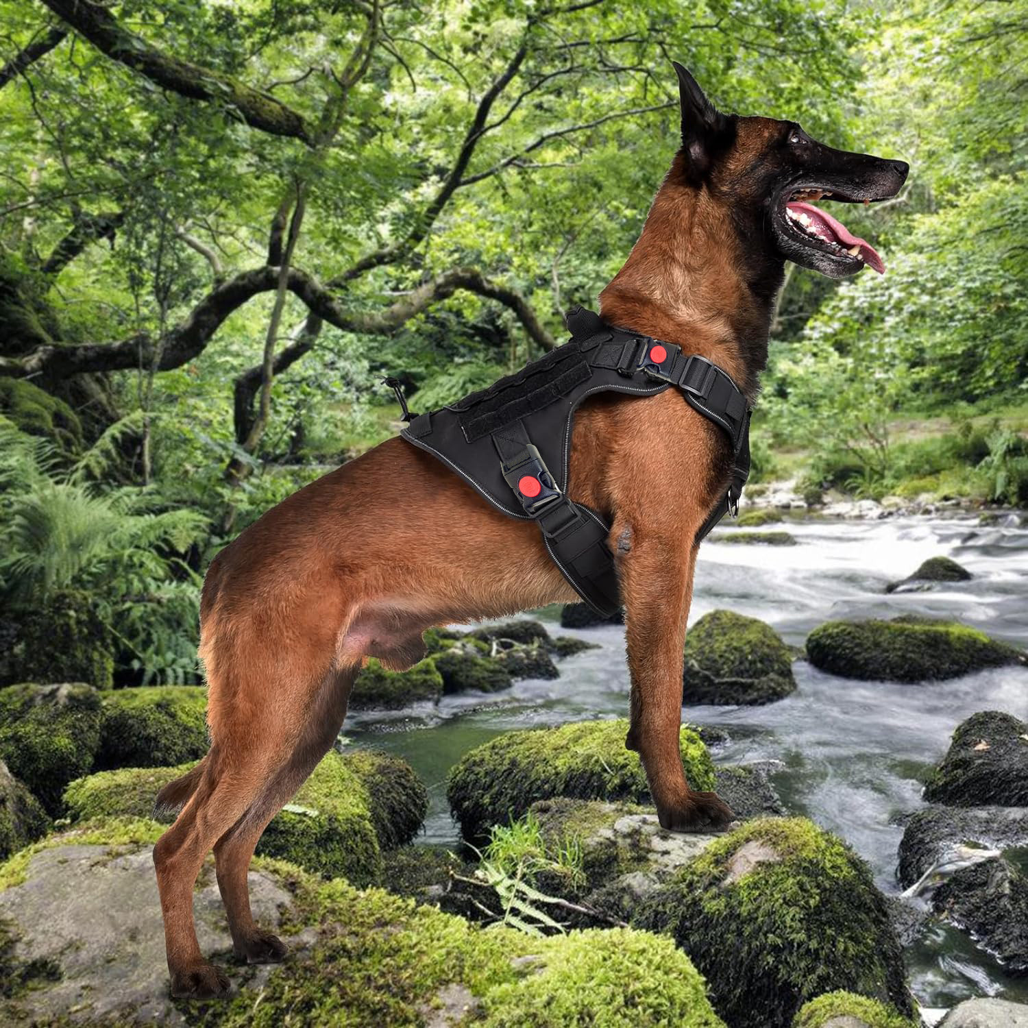 Image of Cocker Tactical Harness For Dogs Dog Safety Harness (Medium, Black)