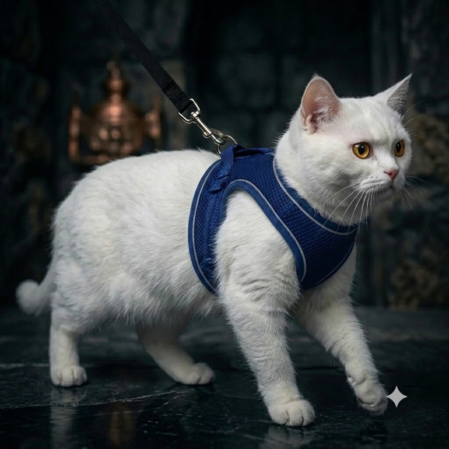 Berlin's Cat Harness & Leash (Medium, Blue) - Image 1