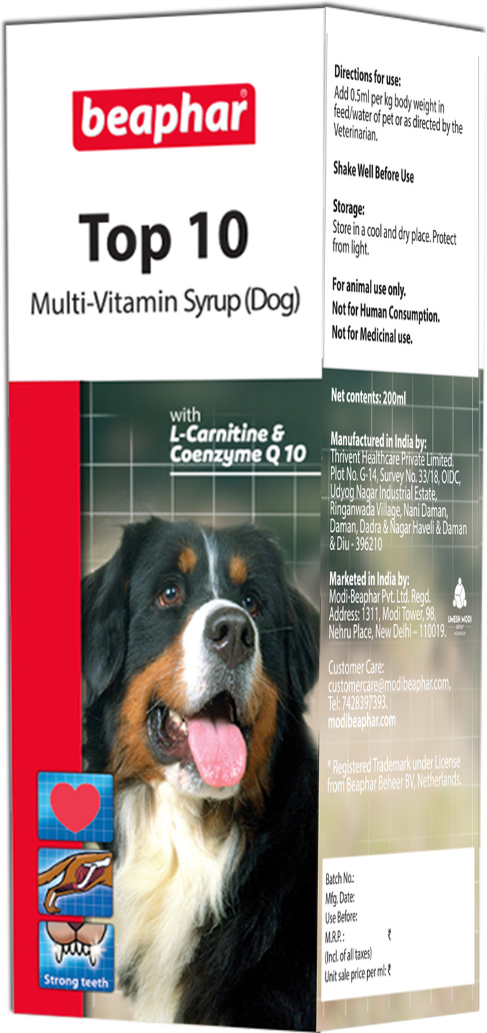 Image of LICKICIOUS Skin & Coat Syrup for Dogs & Cats, Salmon Fish Oil, Omega 3 6 9 Pet Health Supplements (100 ml)