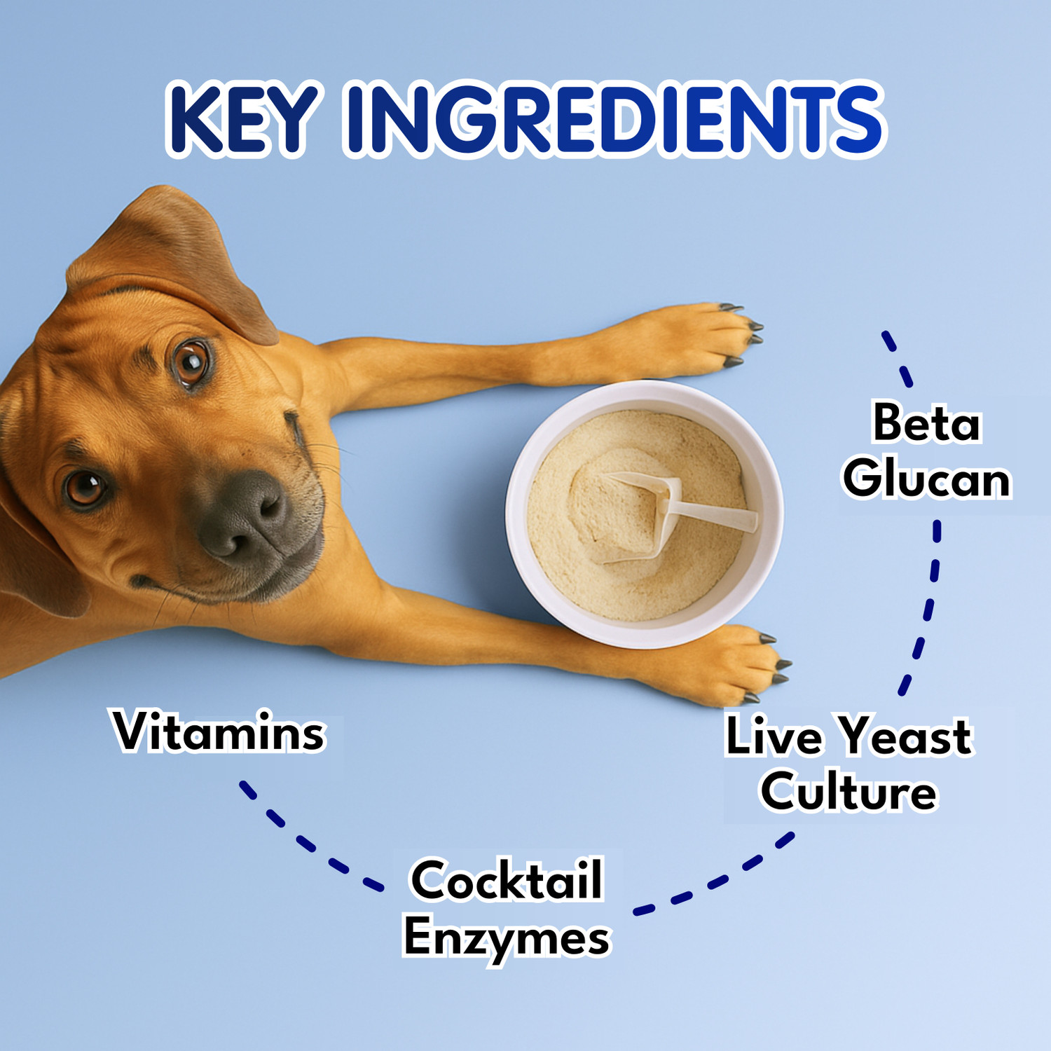 Image of Petroyale Digestive Probiotics Supplement Improves Gut Health & Indigestion Pet Health Supplements (100 g)
