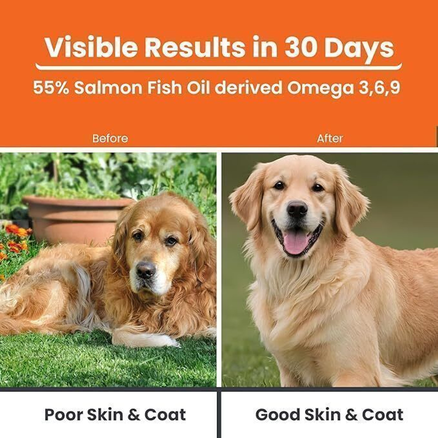 Image of LICKICIOUS Skin & Coat Syrup for Dogs & Cats, Salmon Fish Oil, Omega 3 6 9 Pet Health Supplements (100 ml)