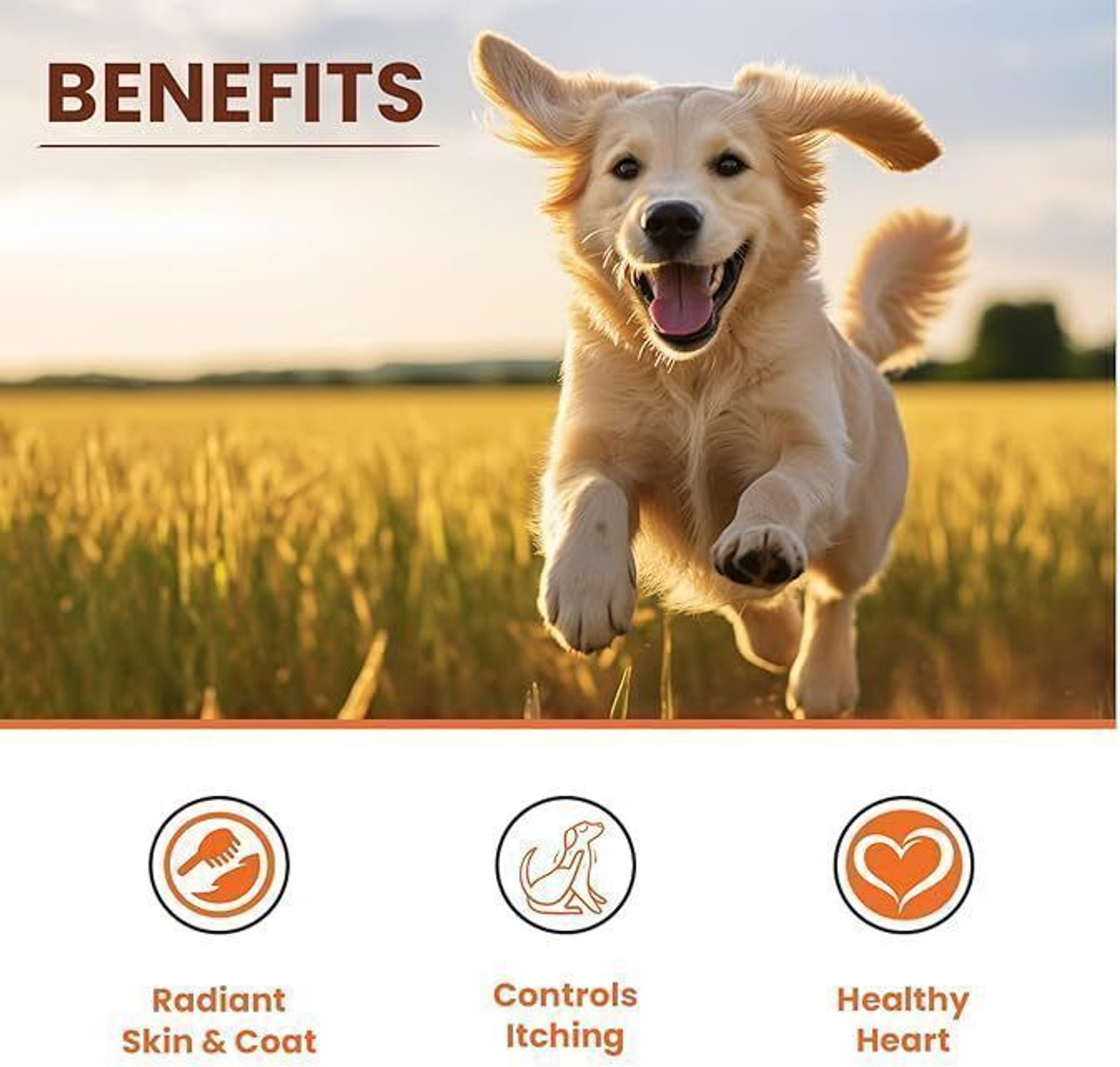 Image of LICKICIOUS Skin & Coat Syrup for Dogs & Cats, Salmon Fish Oil, Omega 3 6 9 Pet Health Supplements (100 ml)