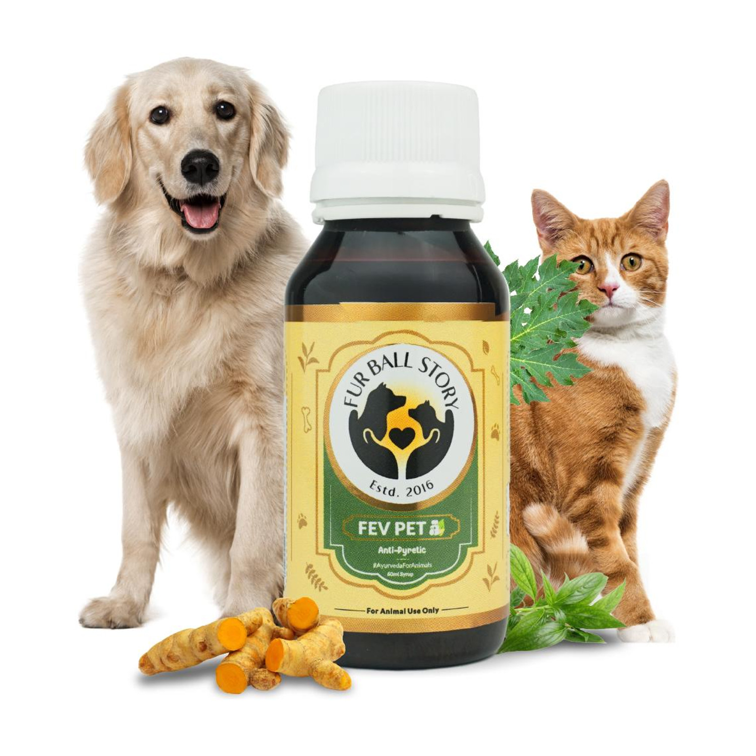 Image of LICKICIOUS Skin & Coat Syrup for Dogs & Cats, Salmon Fish Oil, Omega 3 6 9 Pet Health Supplements (100 ml)