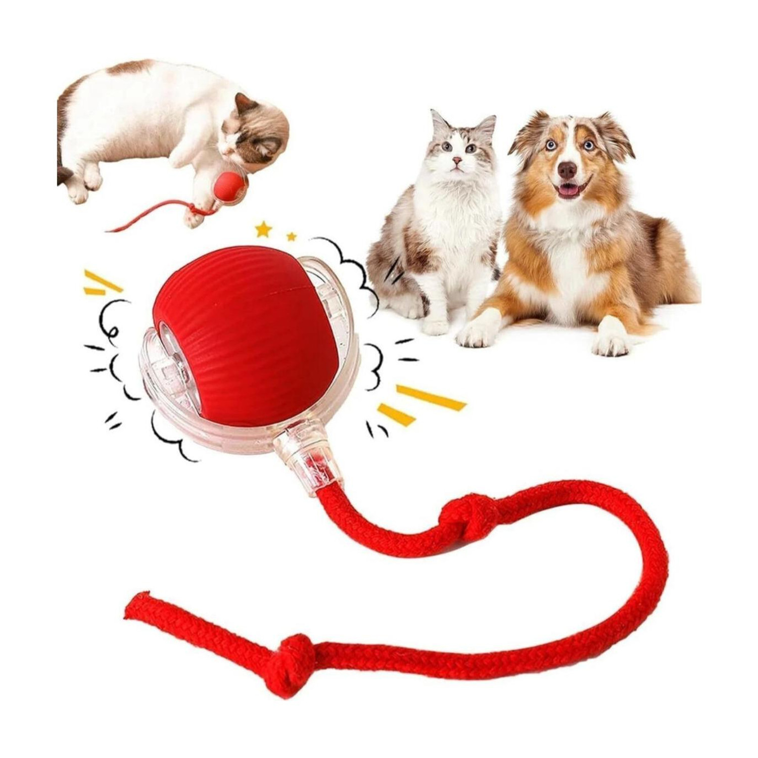 decorvaiz Smart LED Rotating Cat Toy Ball - Image 1