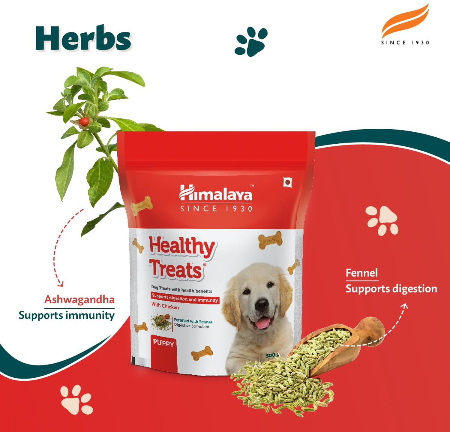 Image of HIMALAYA Healthy Dog Treats for Puppy with Chicken I Supports Digestion & Immunity Chicken Dog Treat (1 kg)