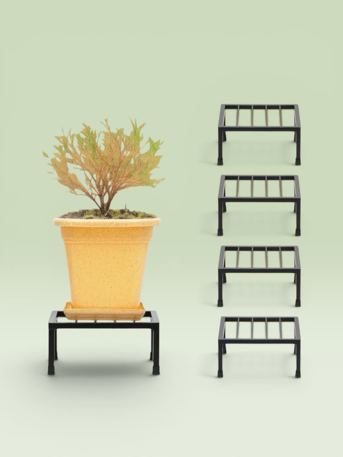 Image of Sapna Enterprises 2 Tier Metal Plant Stand for Indoor & Outdoor | Flower Pot Stand for Home Decor Plant Container Set (Metal)