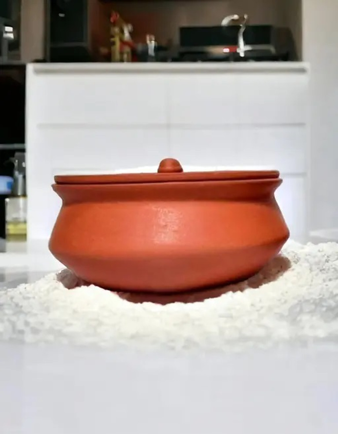 Image of CARNIVAL Aluminium Handi /Biryani Pot /Pot Pan With Stainless Steel Lid Handi 4 L with Lid (Aluminium, Induction Bottom)