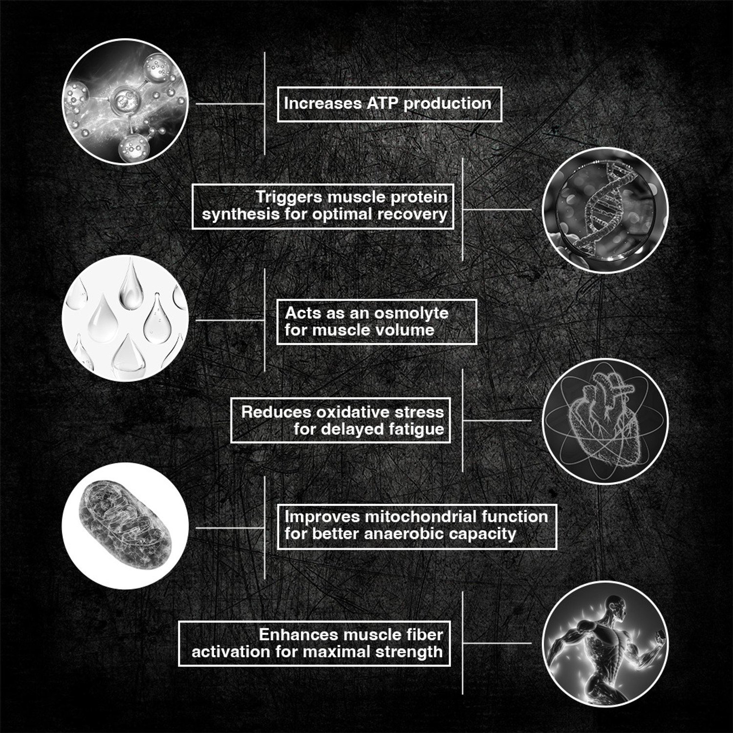 Image of BeastLife Creatine Monohydrate | 13 Servings | Micronised Creatine| NABL Lab Tested Creatine (50 g, Tropical Tango)