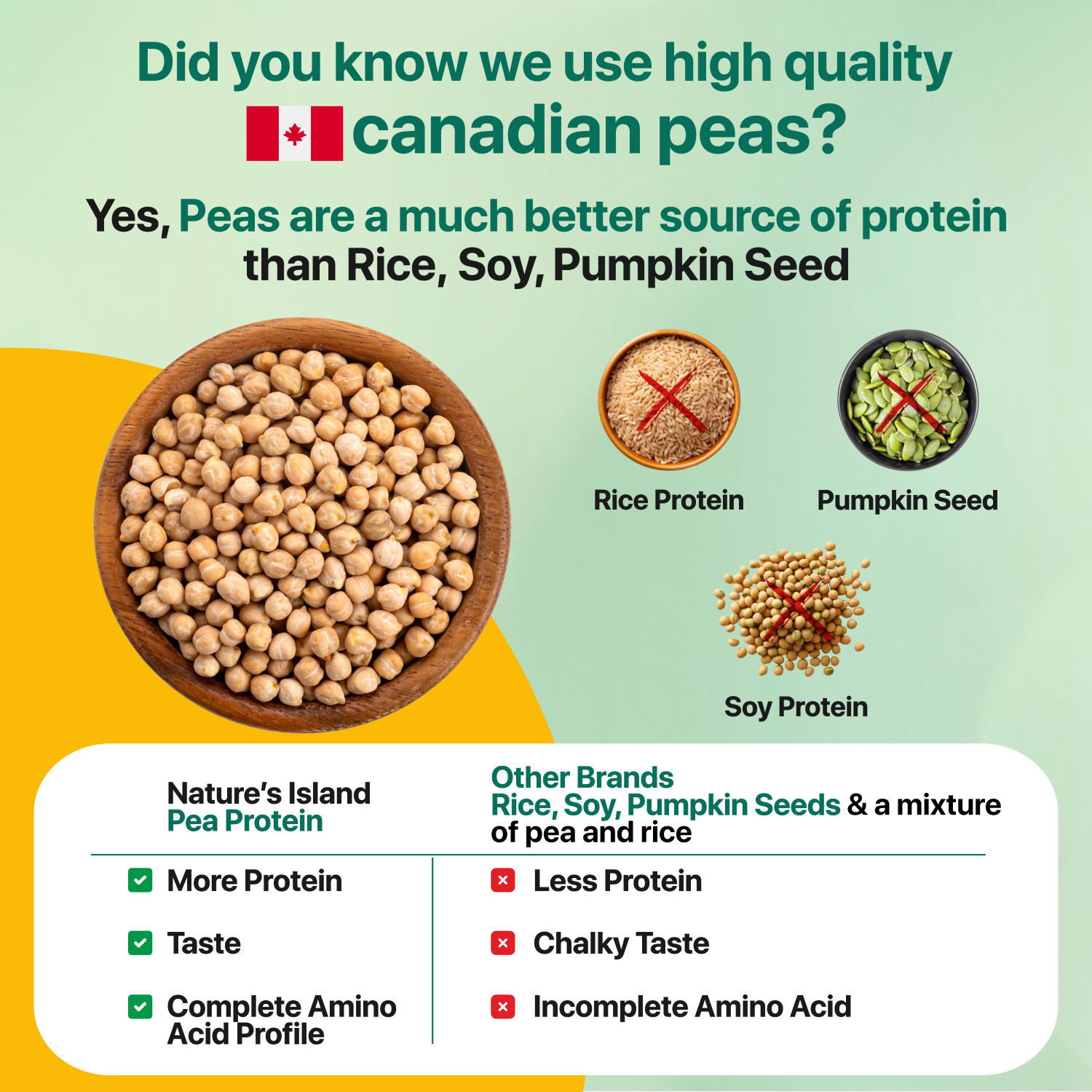 Image of Nature's island Plant Protein - Pea Protein Isolate 1 KG (25 G Protein,4.7 G BCAAs, 0G Sugar) Plant-Based Protein (1 kg, Chocolate Fudge)