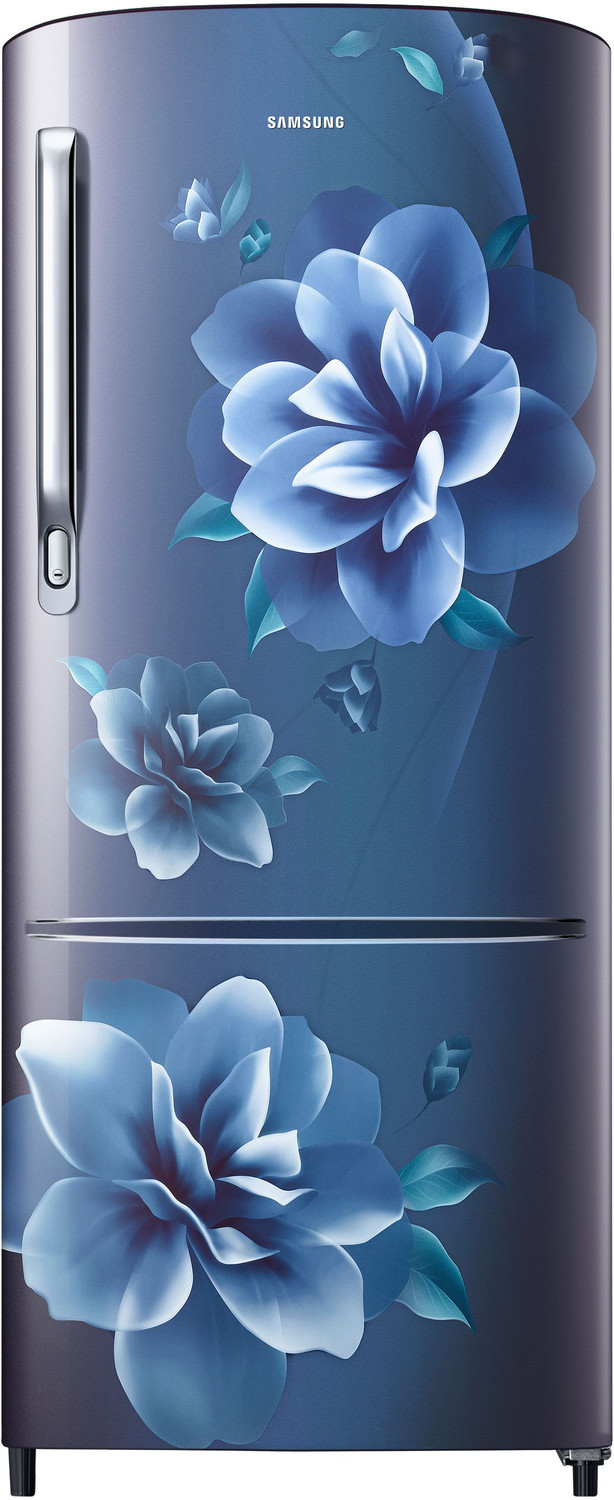Image of Samsung 253 L Frost Free Double Door 3 Star Refrigerator (Elegant Inox, RT28T3483S8 /HL)