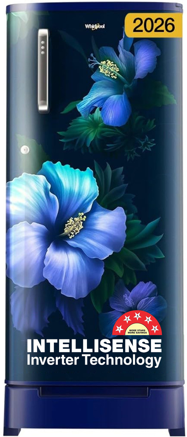 Image of Panasonic 202 L Direct Cool Single Door 2 Star Refrigerator (Blue Single Flower, NR-AC20SA2X1)