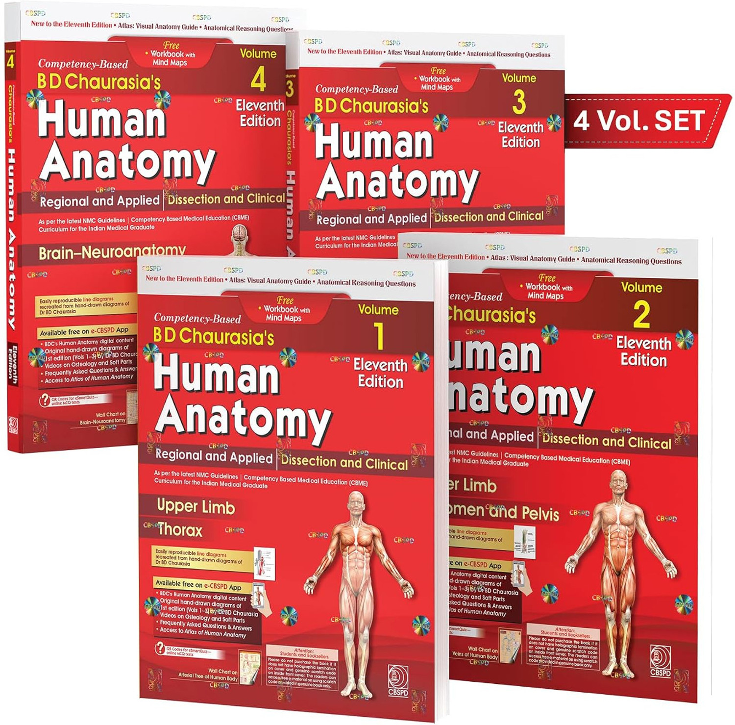 BD Chaurasia's Human Anatomy 11th Edition 4 Volume Set - Image 1