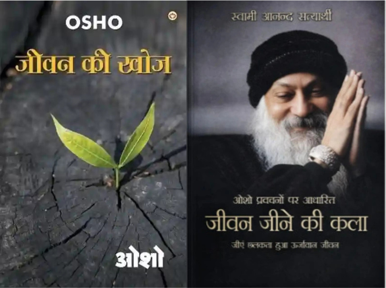 Jeevan Jeene Ki Kala + Jeevan Ki Khoj Book Combo - Image 1