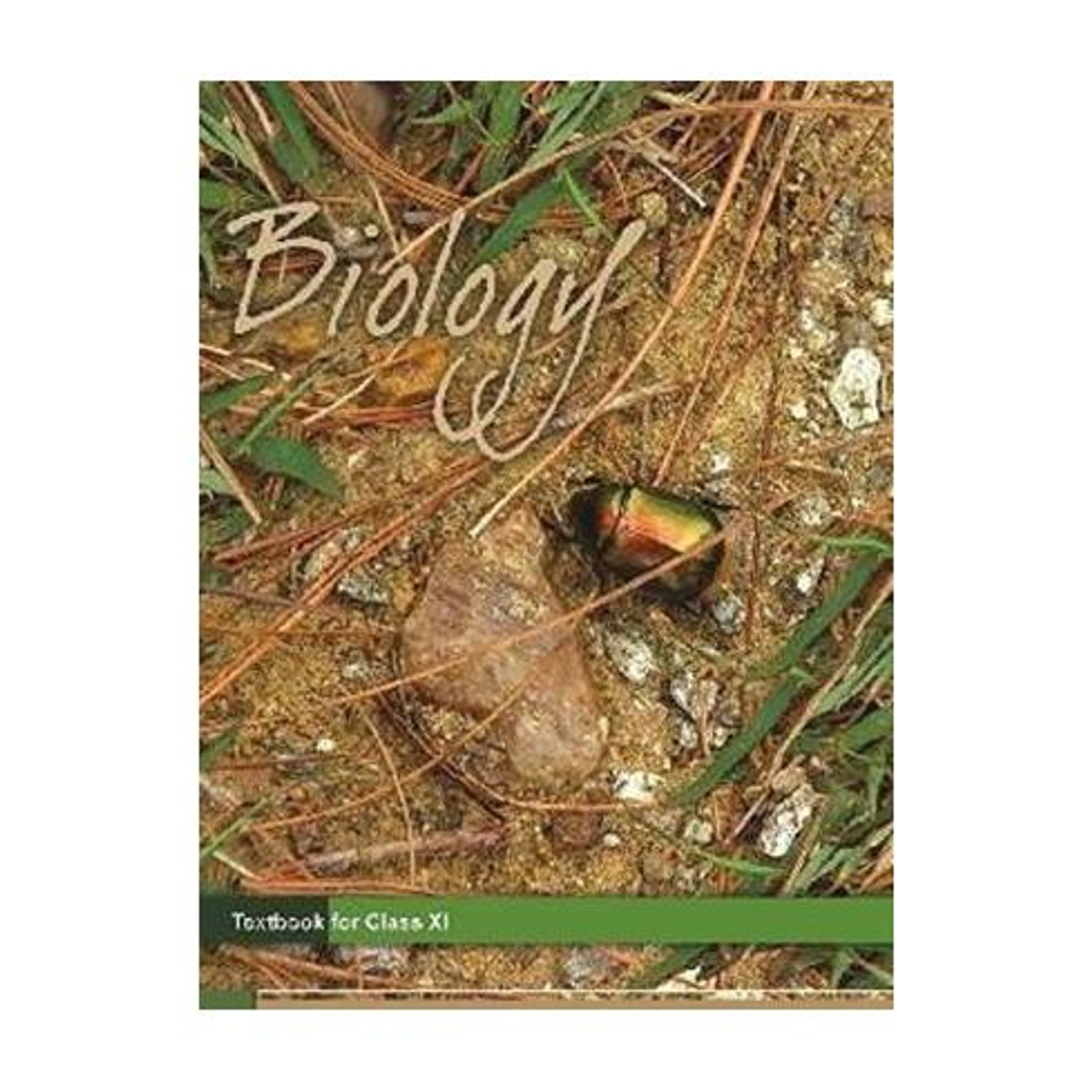 Image of Ncert Biology Class 11 Eng (Books, Ncert)