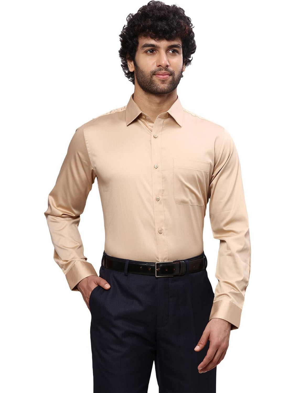 Image of Raymond Men Regular Fit Self Design Formal Shirt