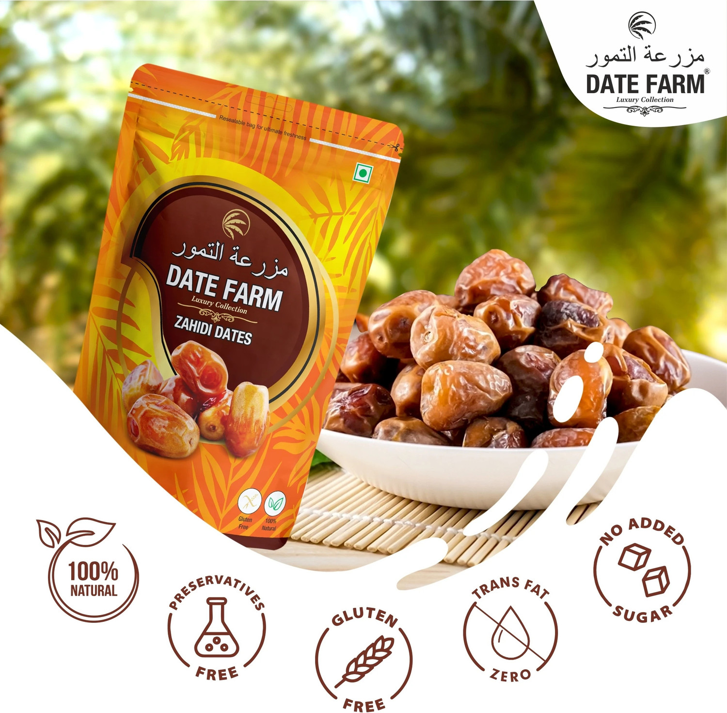 Image of DATE FARM Zahidi Luxury & 100% Natural Khajur|Boosts Immunity|No Added Sugar|Arabian Wet Dates (3 x 500 g)