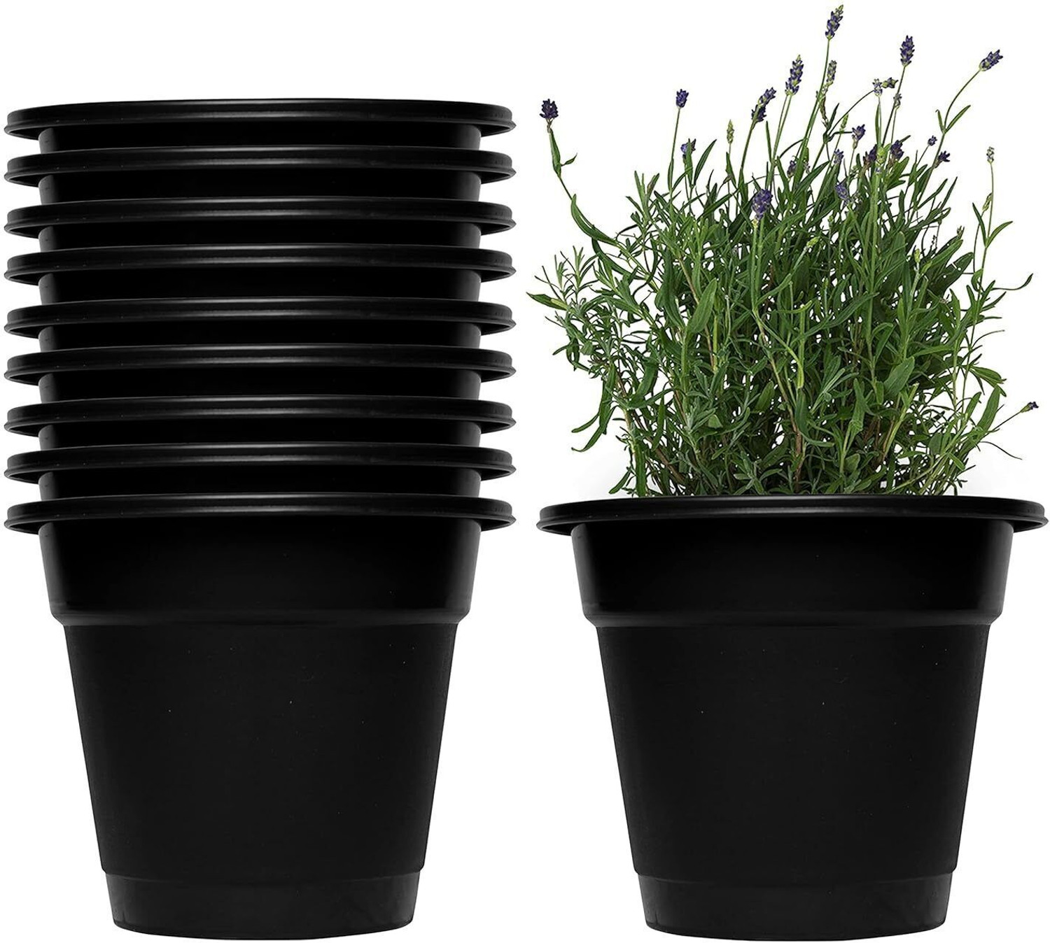 CRAPS 6 Inch Plastic Round Nursery Planter Pot Home/Office/Table/Garden/Balcony...