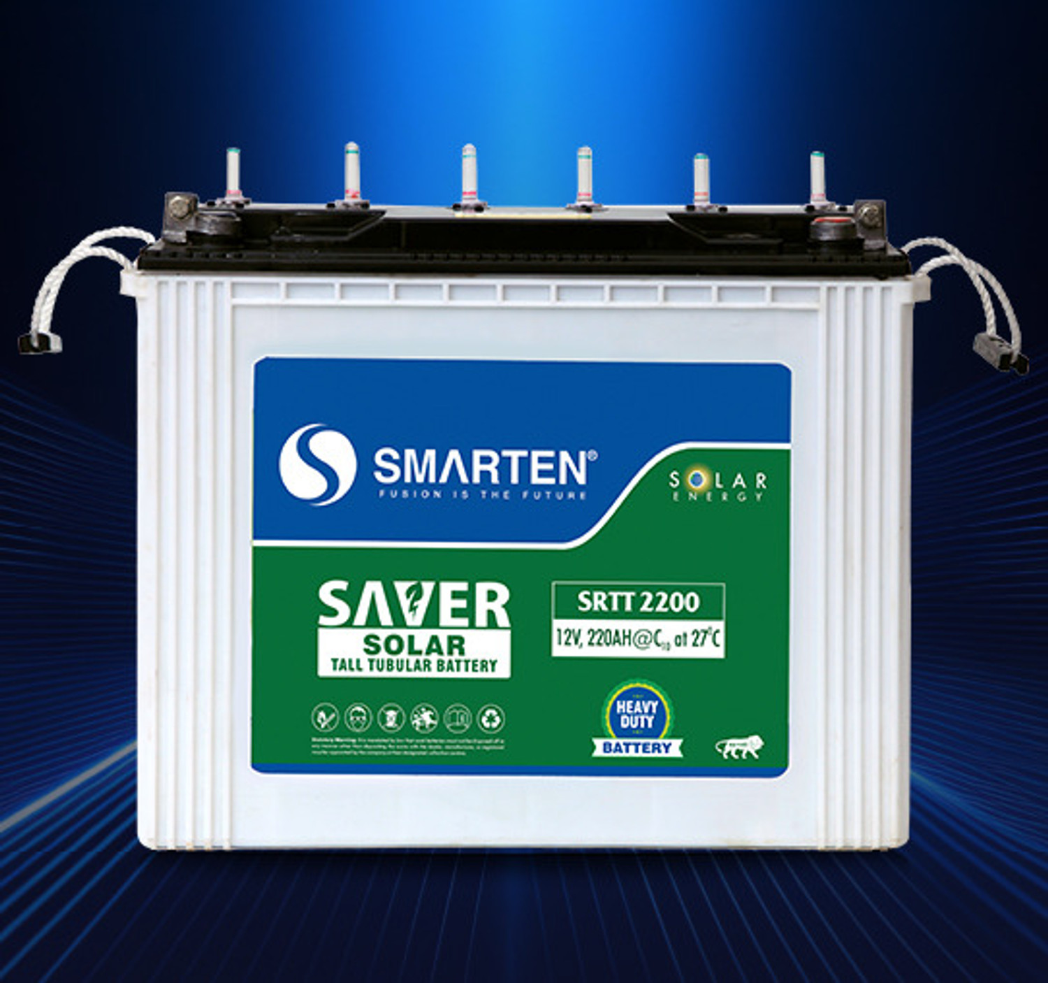 Image of EASTMAN ED16536TT-150AH-C20 Flooded Solar Battery (12 V)