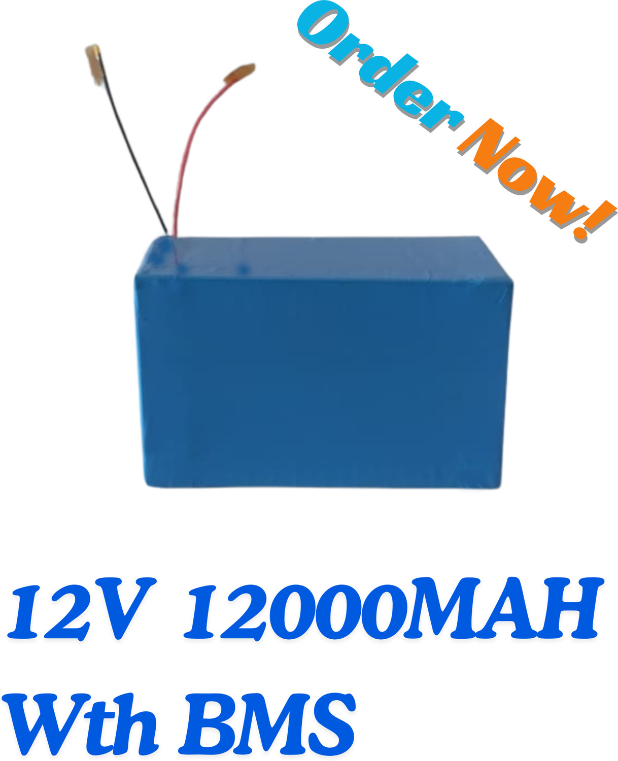 Image of Vikram 100001 Lithium Solar Battery (12 V)