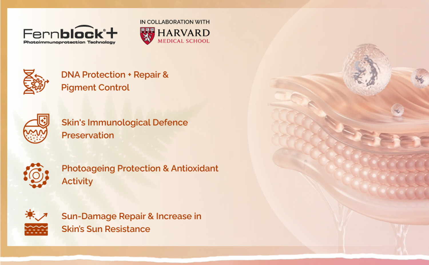 Image of Heliocare Sunscreen - SPF 50 PA++++ Sunscreen - SPF 50 PA++++ Color GelCream Light Suncreen UVB /UVA Combo (100 g)