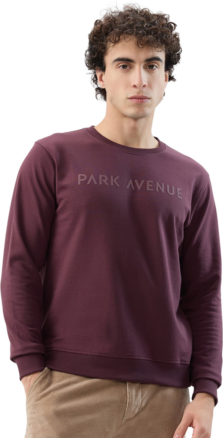 Image of PARK AVENUE Men Full Sleeve Solid Hooded Sweatshirt
