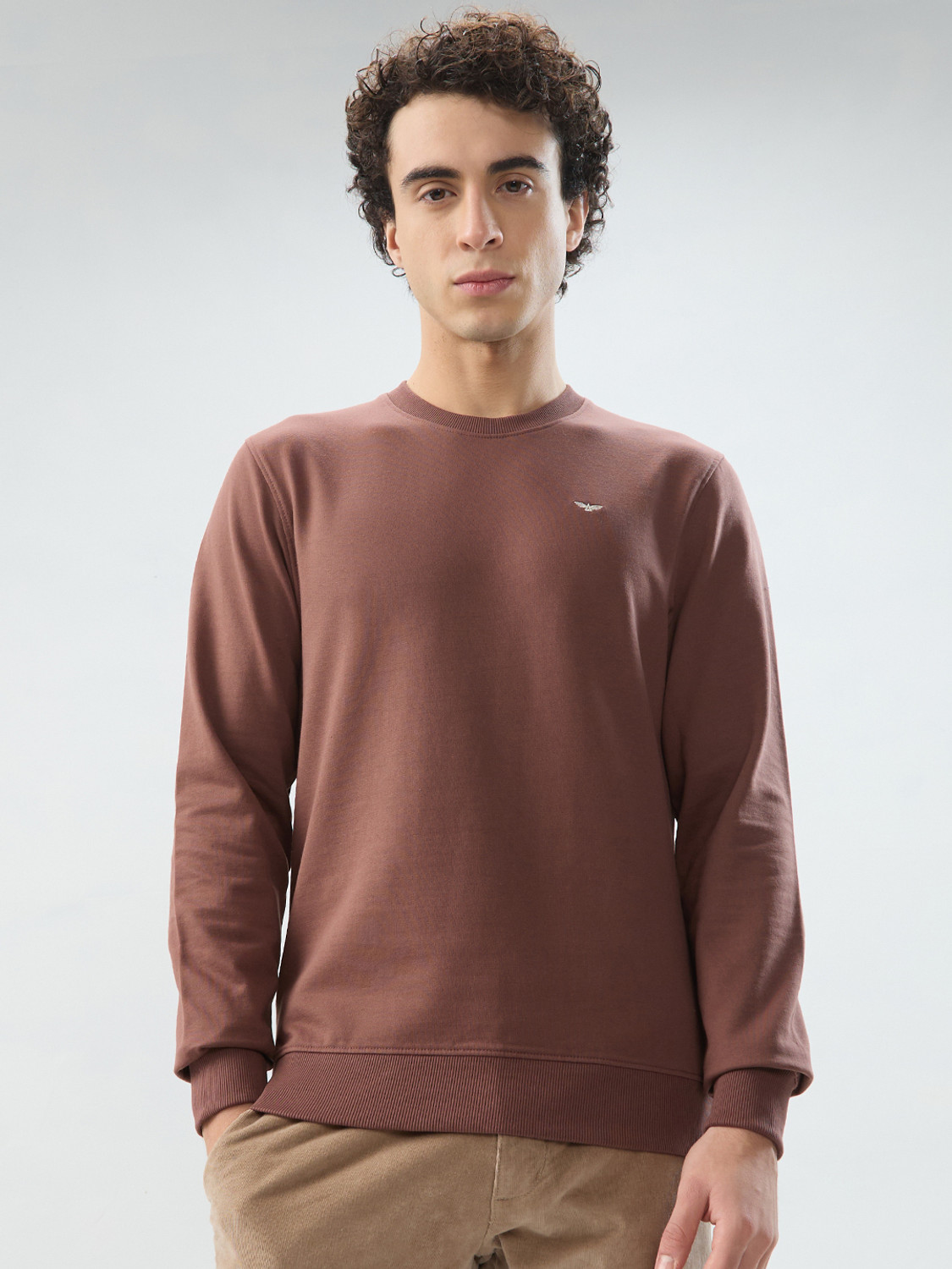 Image of PARK AVENUE Men Full Sleeve Solid Hooded Sweatshirt