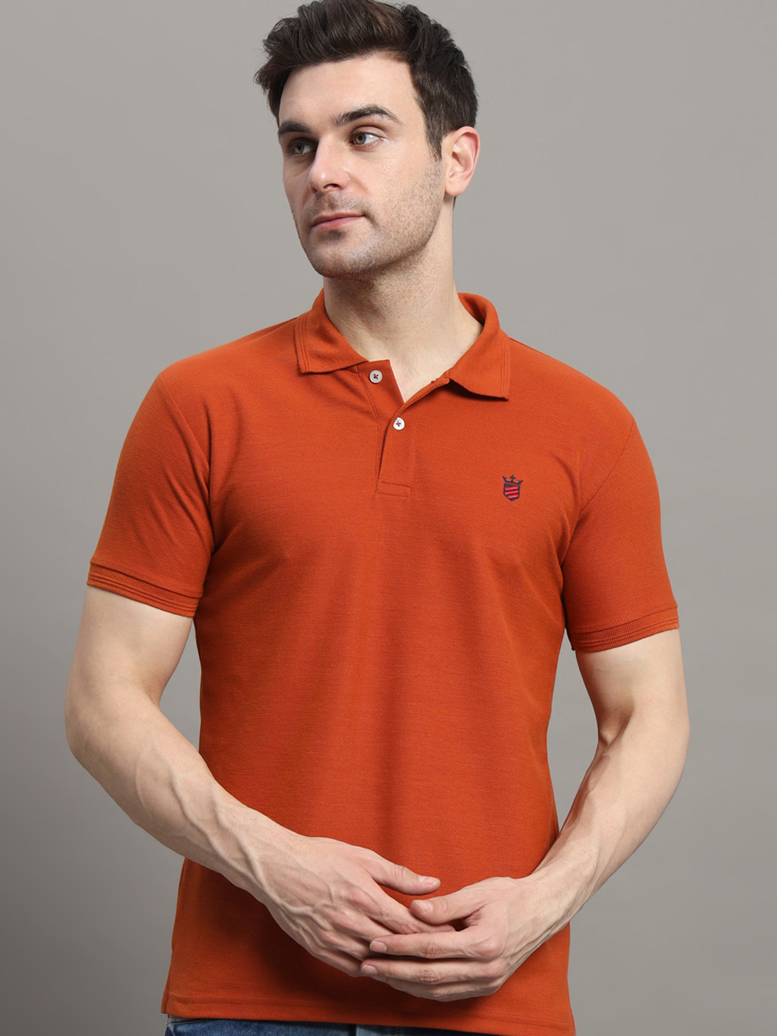 Image of RARHANPREMIUM Men Solid Polo Neck Cotton Blend Blue T-Shirt