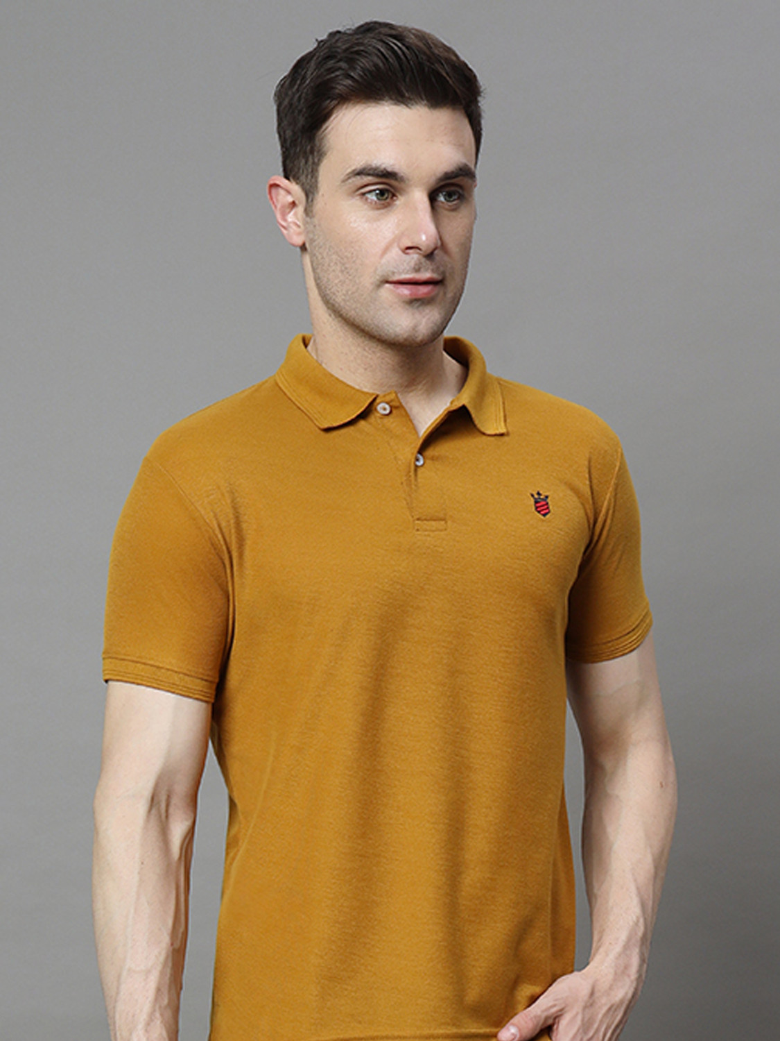Image of RARHANPREMIUM Men Solid Polo Neck Cotton Blend Blue T-Shirt