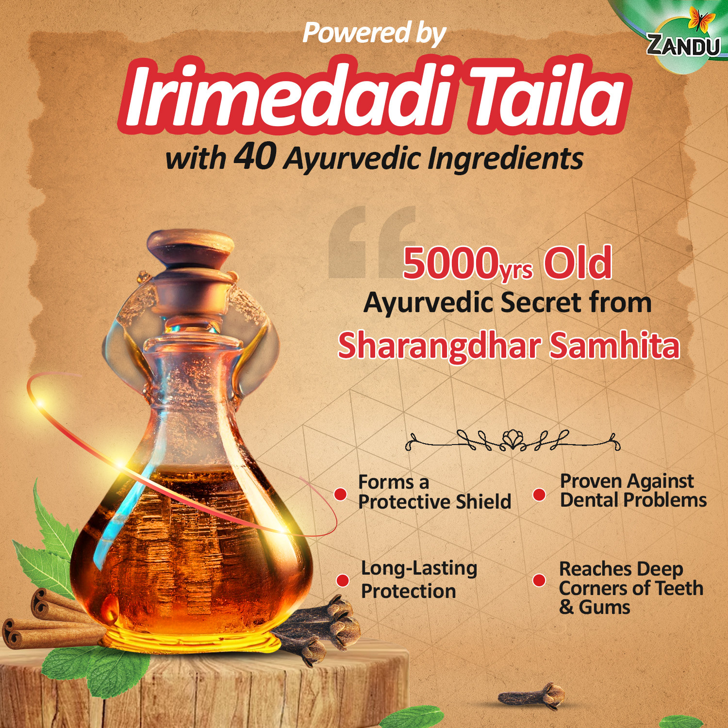Image of ZANDU Dantveer, India's 1st toothpaste with Irimedadi oil, Fights 9 dental problems Toothpaste (500 g)