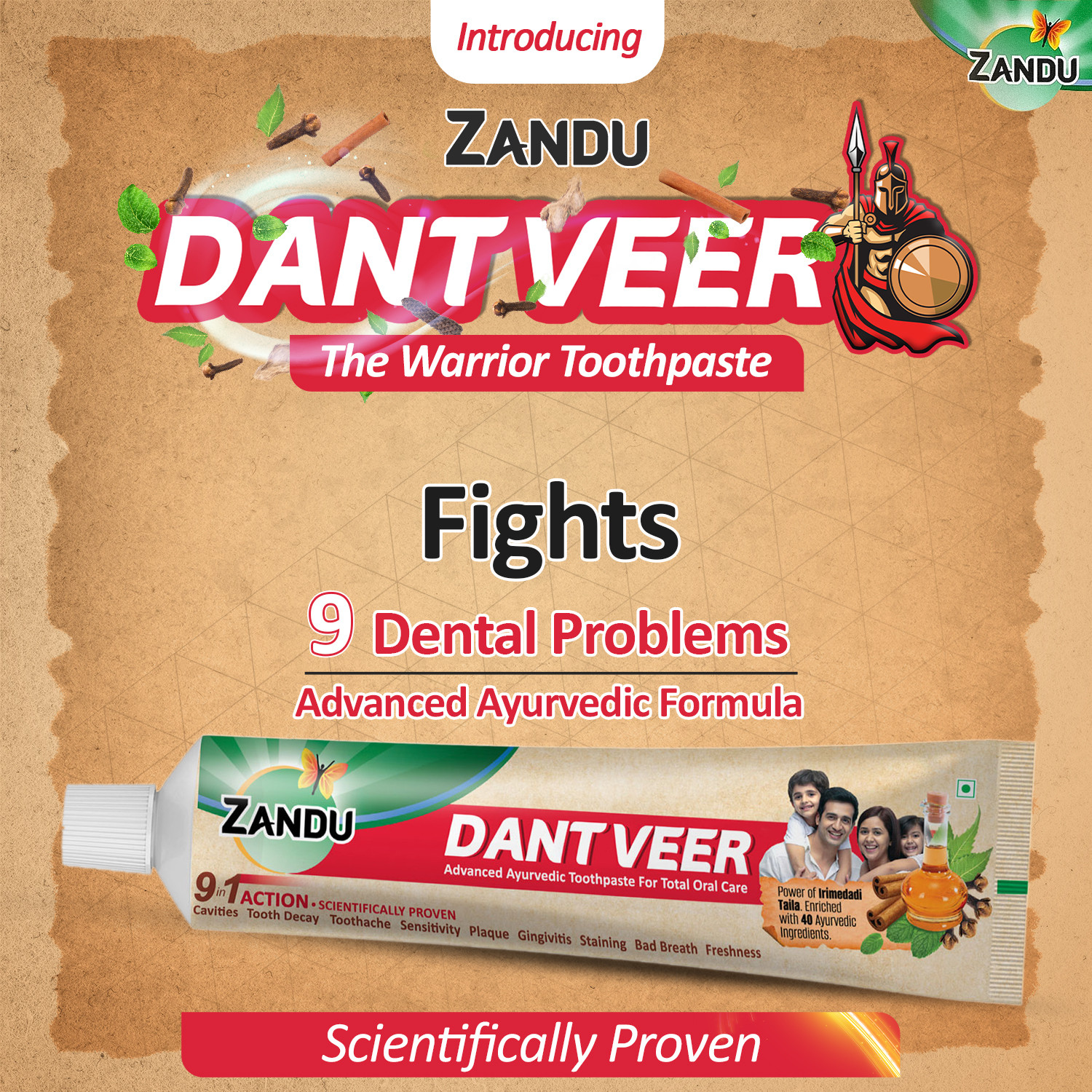 Image of ZANDU Dantveer, India's 1st toothpaste with Irimedadi oil, Fights 9 dental problems Toothpaste (500 g)