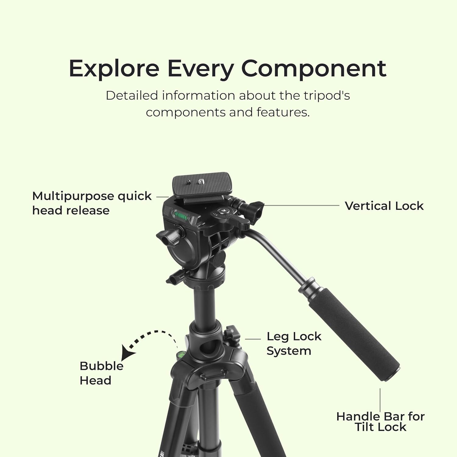 Image of DIGITEK DPTR 895 Monopod (Black, Supports Up to 5000 g)