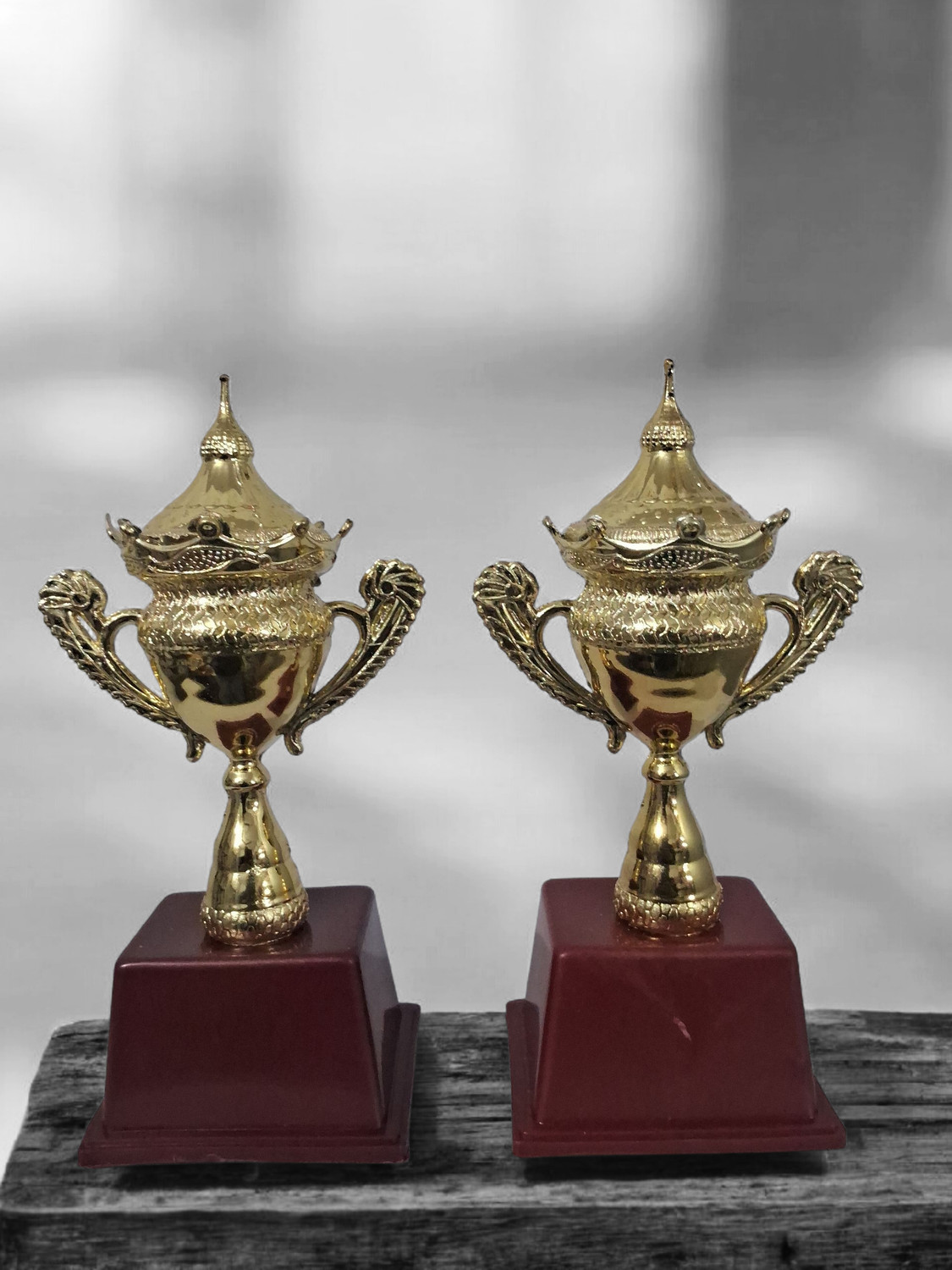 Image of SamirSports Premium Cricket Trophy Award Cup Decorative Sports Winner Prize Trophy (medium)
