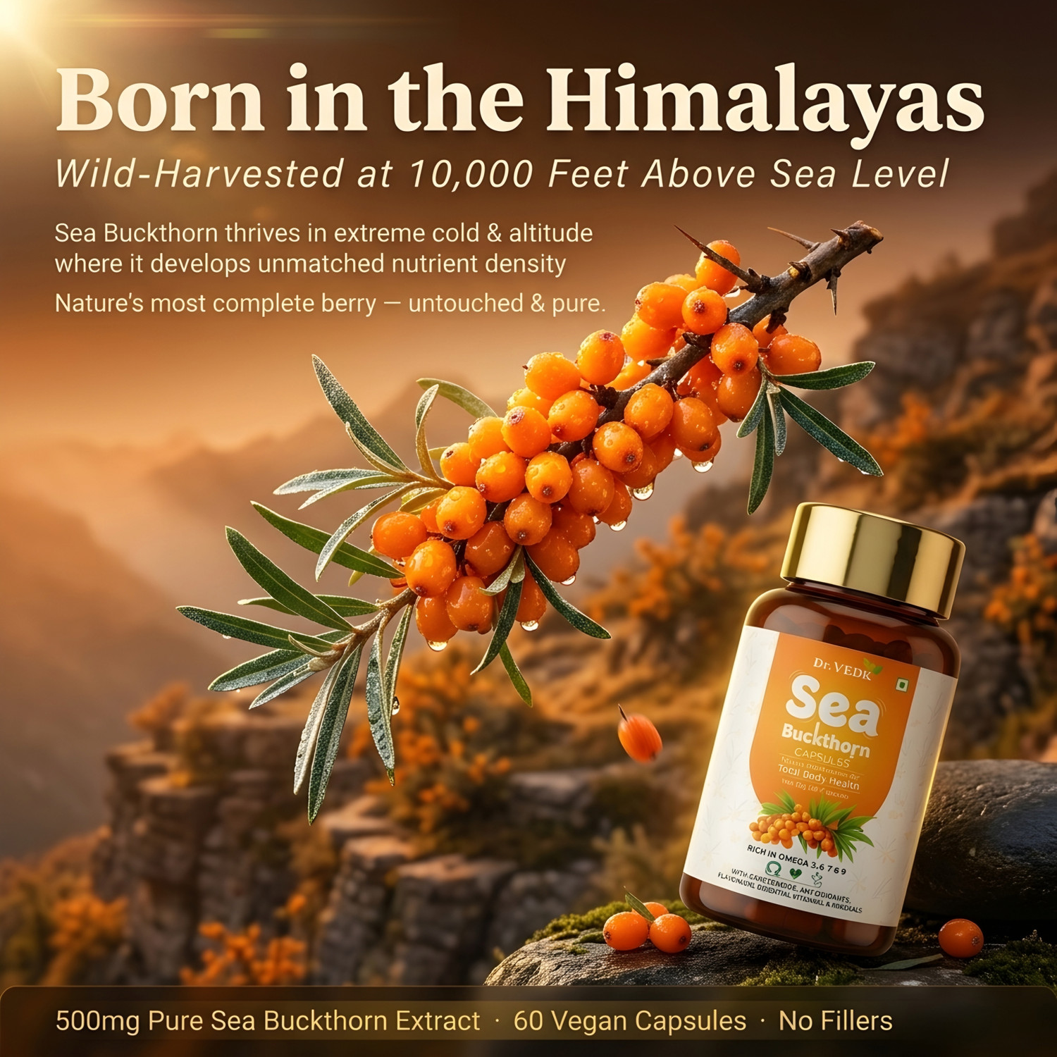 Image of Dr.Vedic Sea Buckthorn Berry 500mg Capsules | Vegan Omega 3, 6, 7 & 9 (60 Capsules)