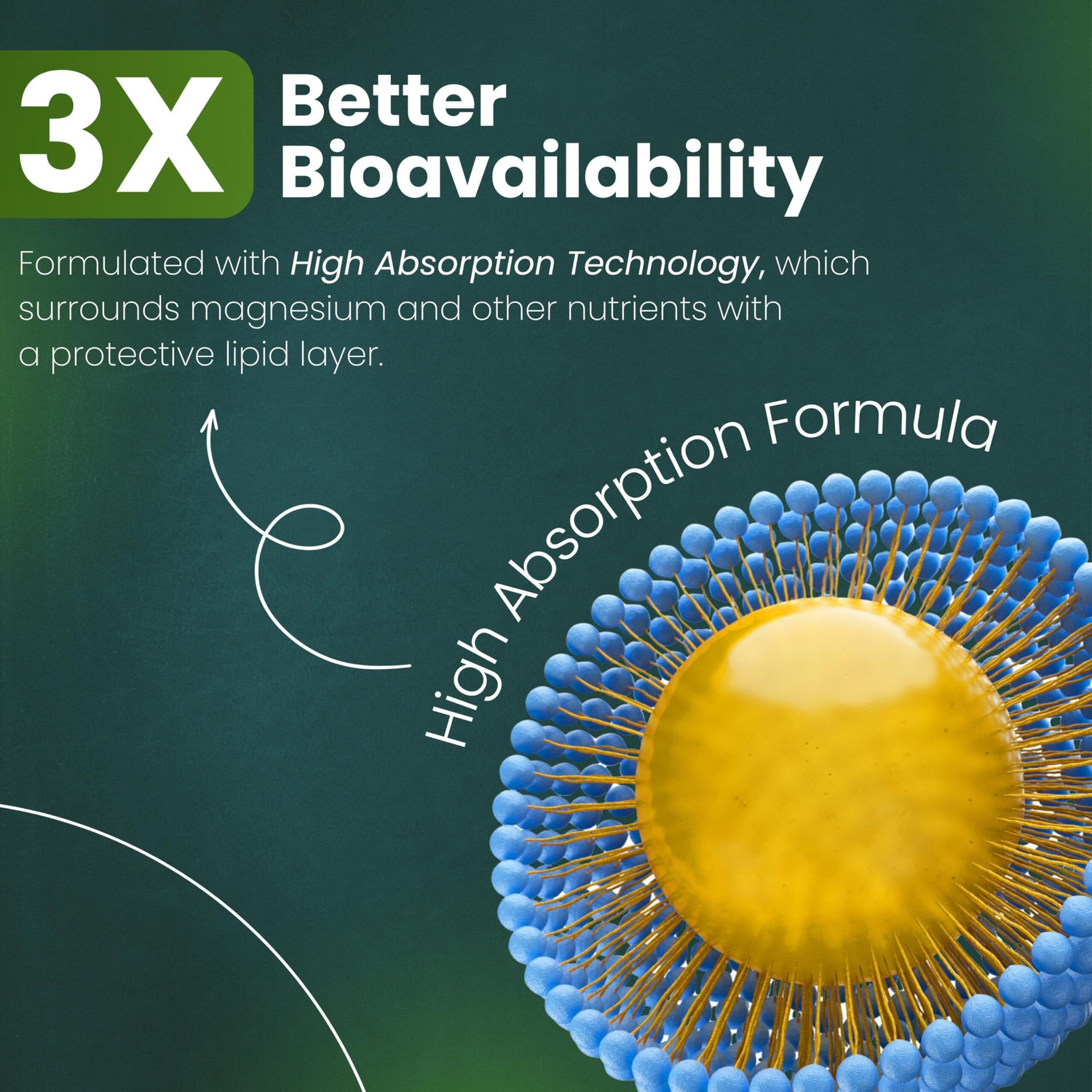 Image of Nutrolis Triple Magnesium Complex | High Absorption | Sleep, Stress & Muscle Recovery (60 Tablets)