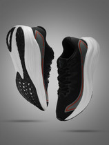 UNDER ARMOUR CURRY 10 MAGIC Basketball Shoes For Men - Buy UNDER