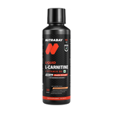 l carnitine synthesis Exercise Physiology